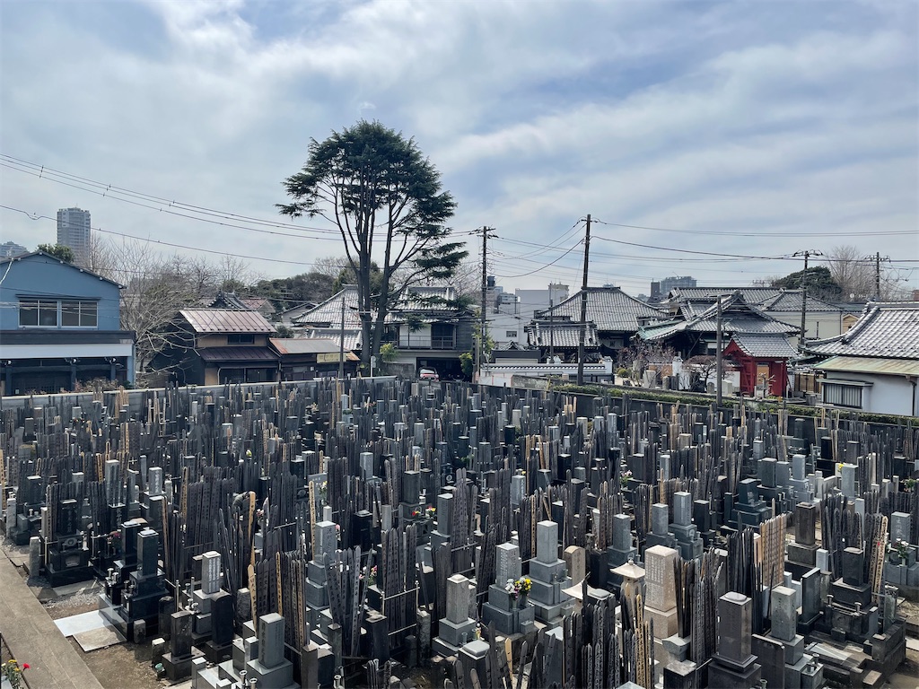 f:id:TokuheiKumagai:20250318132347j:image