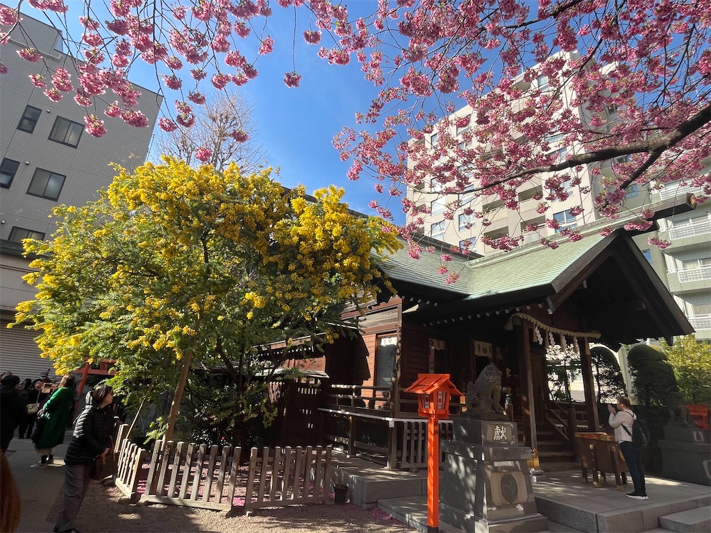 f:id:TokuheiKumagai:20250318193946j:image