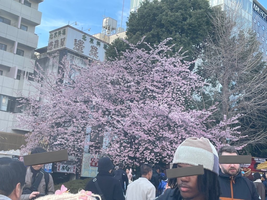f:id:TokuheiKumagai:20250318194004j:image
