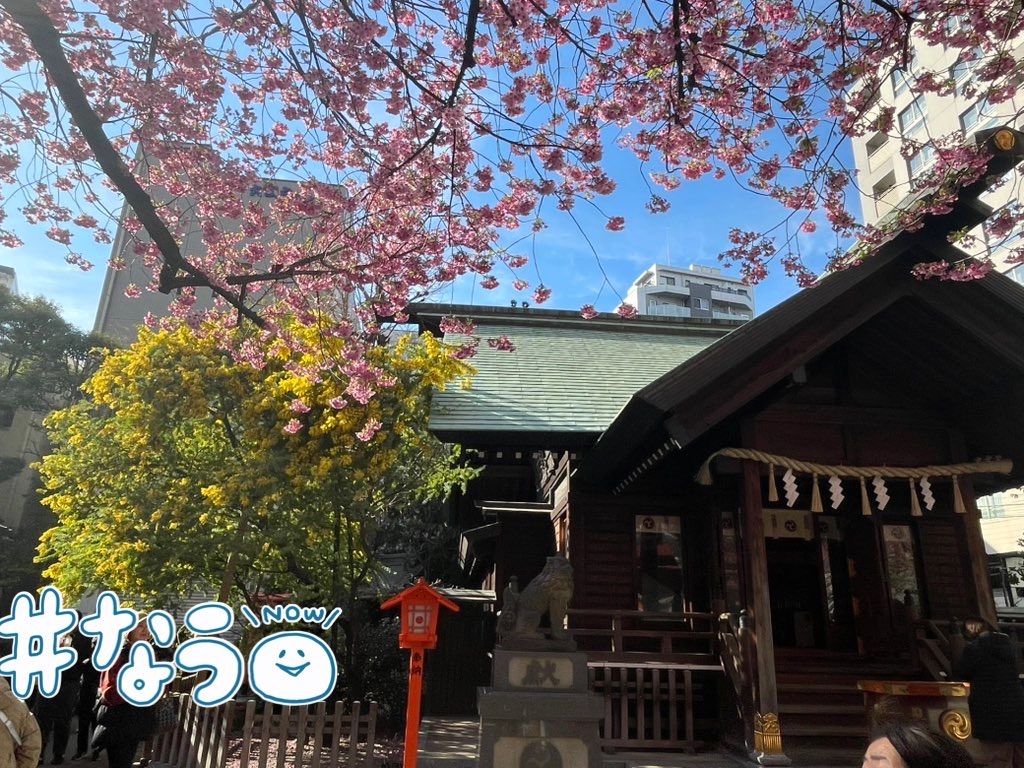 f:id:TokuheiKumagai:20250318194009j:image