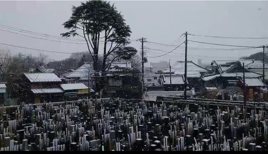 f:id:TokuheiKumagai:20250319135128j:image