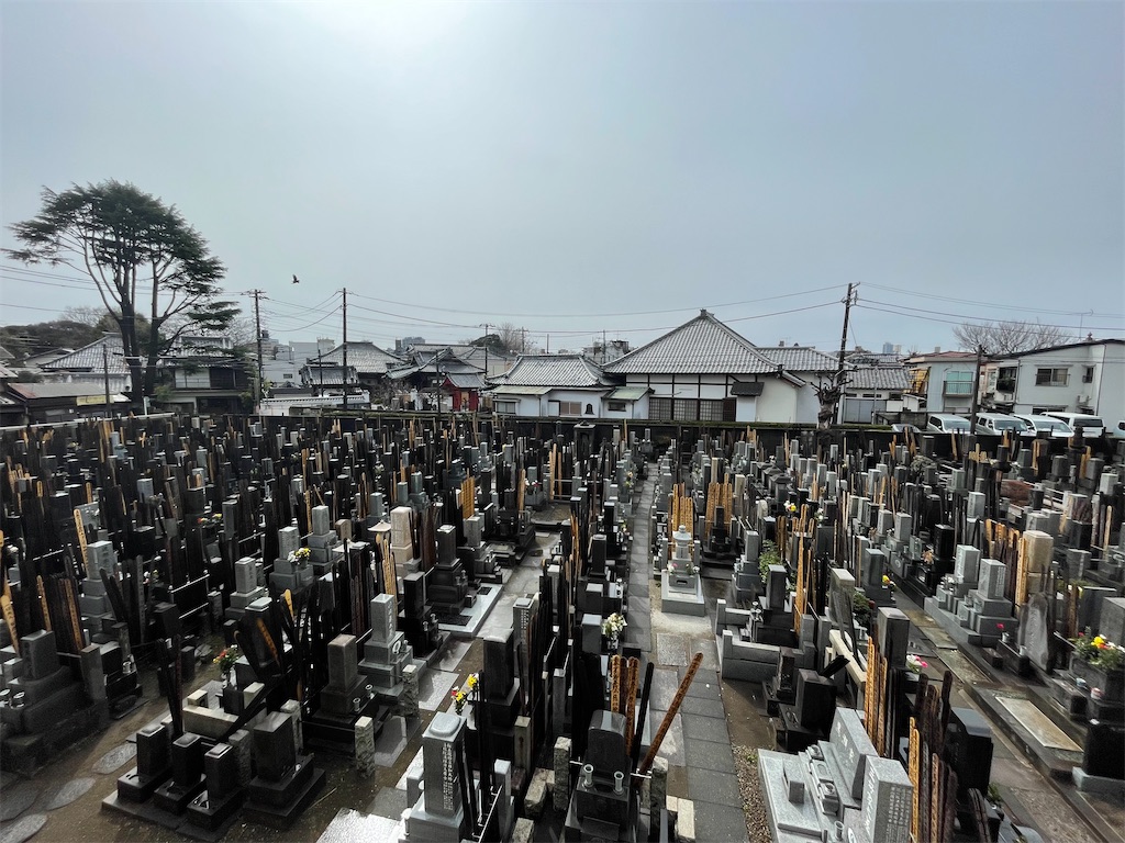 f:id:TokuheiKumagai:20250319135214j:image