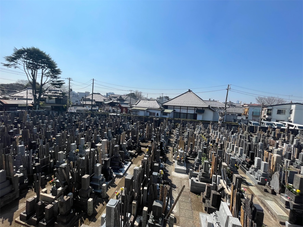 f:id:TokuheiKumagai:20250321225521j:image