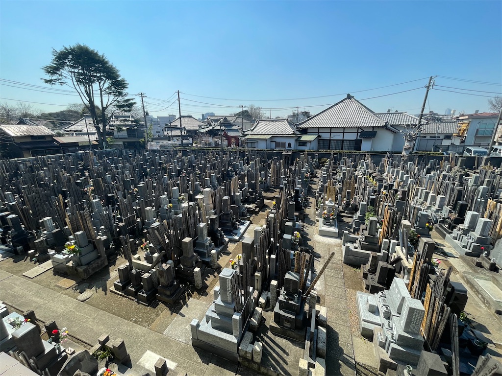 f:id:TokuheiKumagai:20250321225524j:image