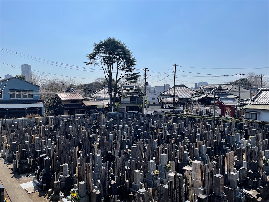 f:id:TokuheiKumagai:20250321225532j:image
