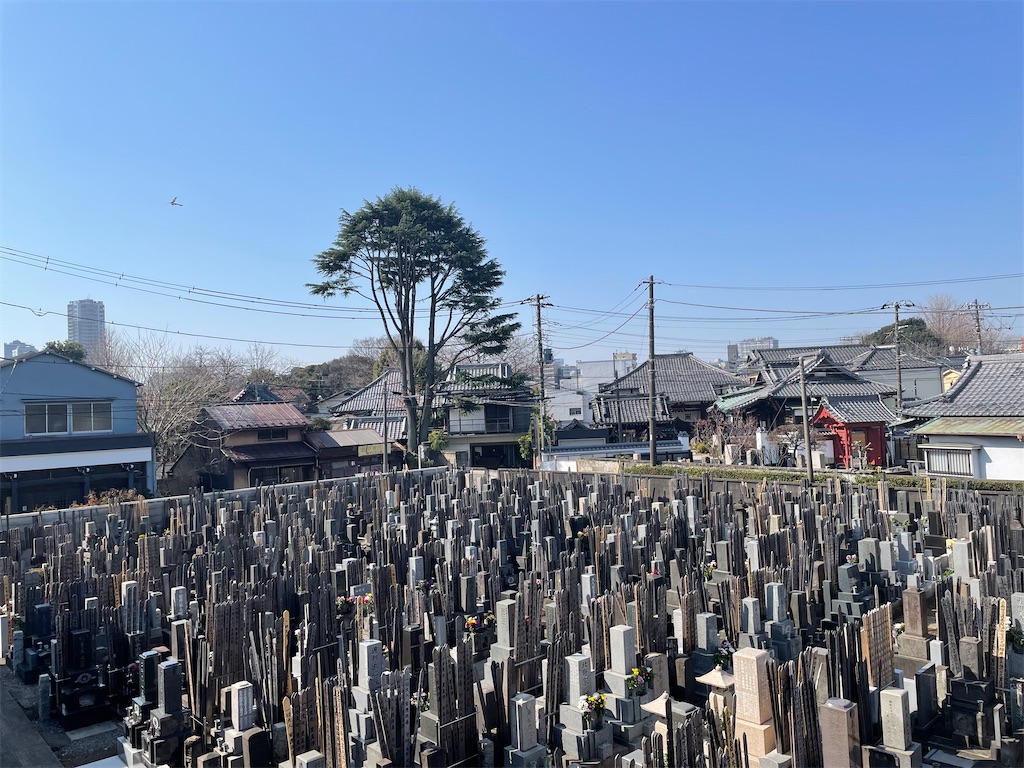f:id:TokuheiKumagai:20250322212532j:image