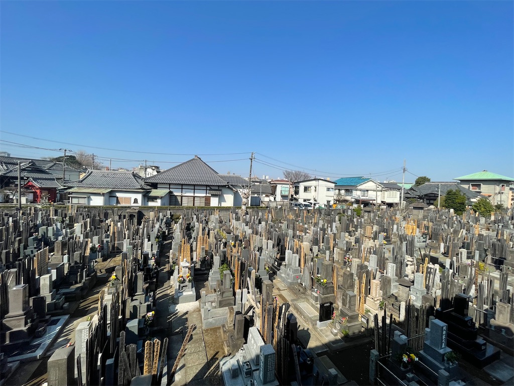 f:id:TokuheiKumagai:20250322212537j:image