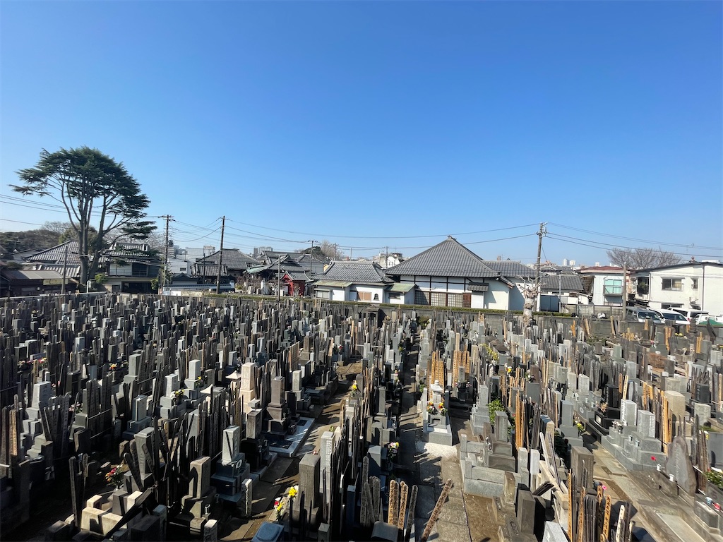 f:id:TokuheiKumagai:20250322212542j:image