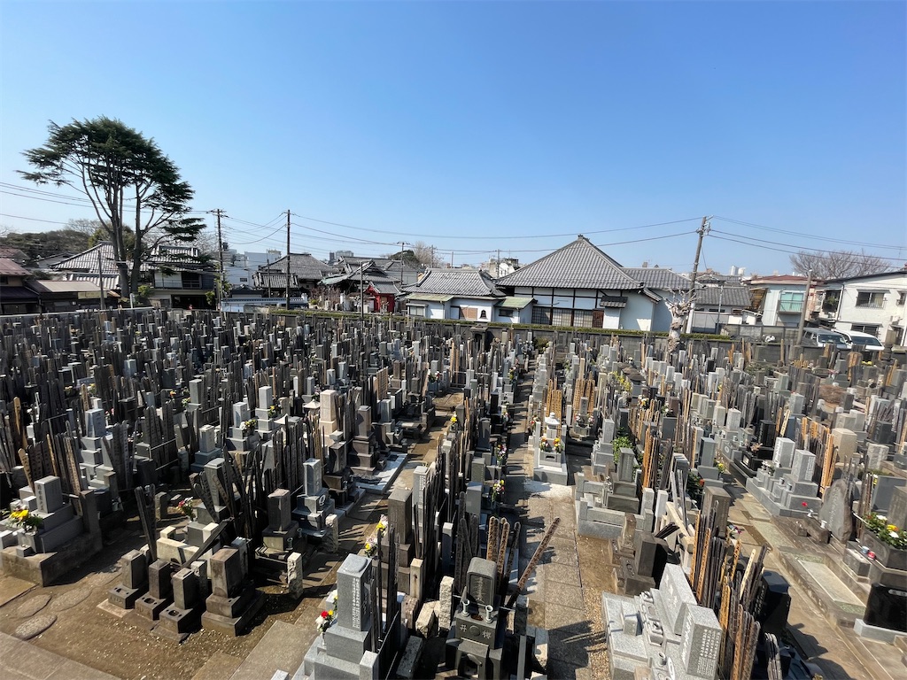 f:id:TokuheiKumagai:20250323165029j:image