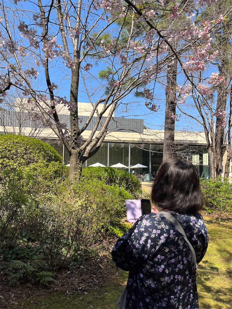 f:id:TokuheiKumagai:20250323215747j:image
