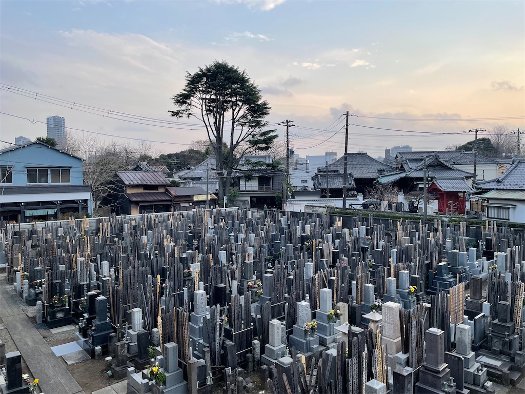 f:id:TokuheiKumagai:20250324195704j:image