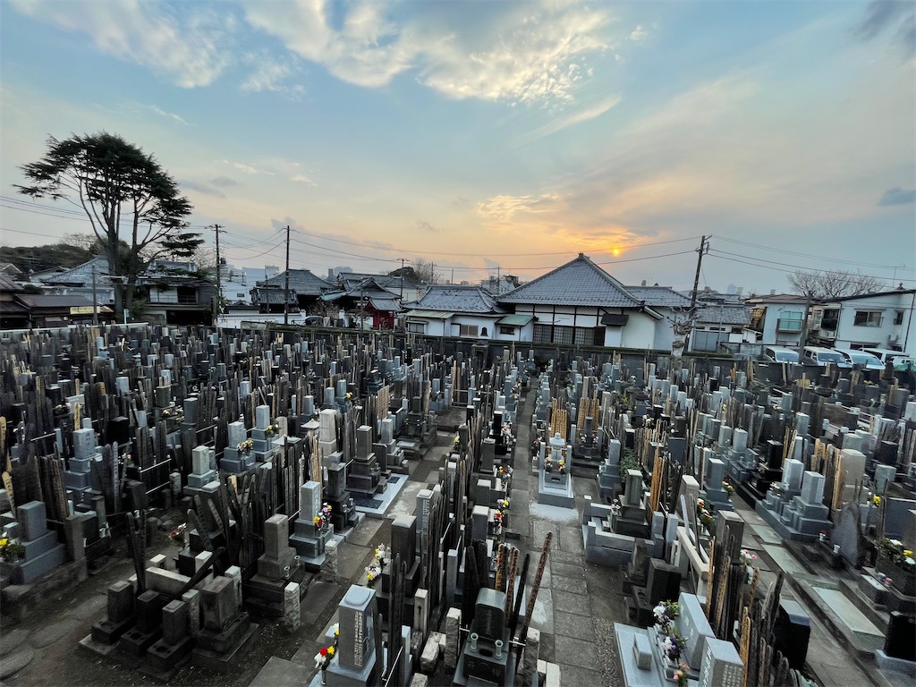 f:id:TokuheiKumagai:20250324195708j:image