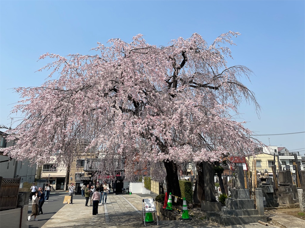 f:id:TokuheiKumagai:20250325123446j:image