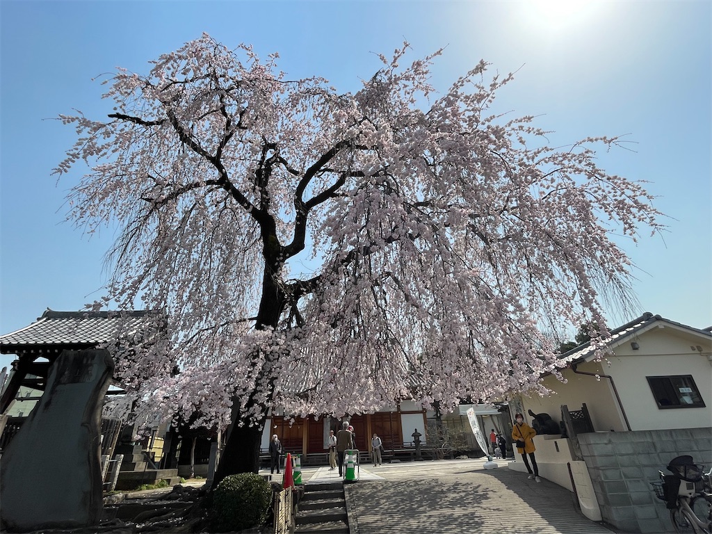 f:id:TokuheiKumagai:20250325123453j:image