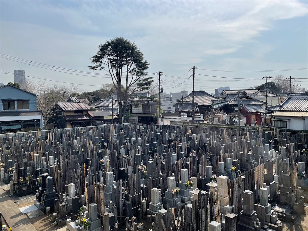 f:id:TokuheiKumagai:20250325142354j:image