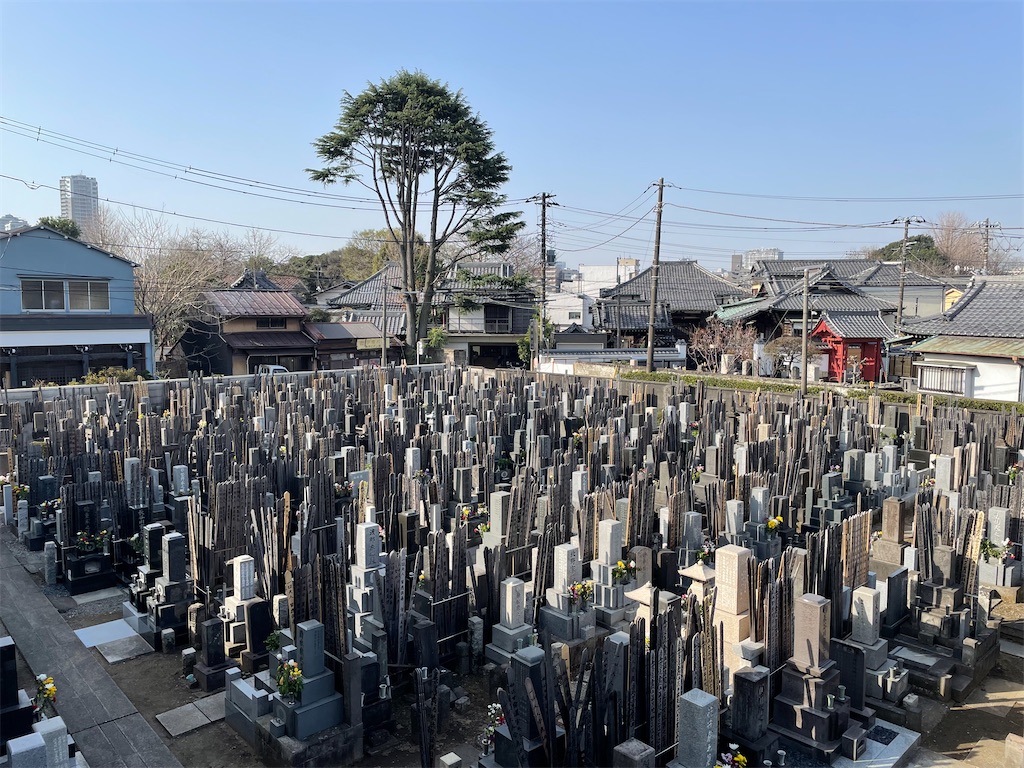 f:id:TokuheiKumagai:20250326093832j:image