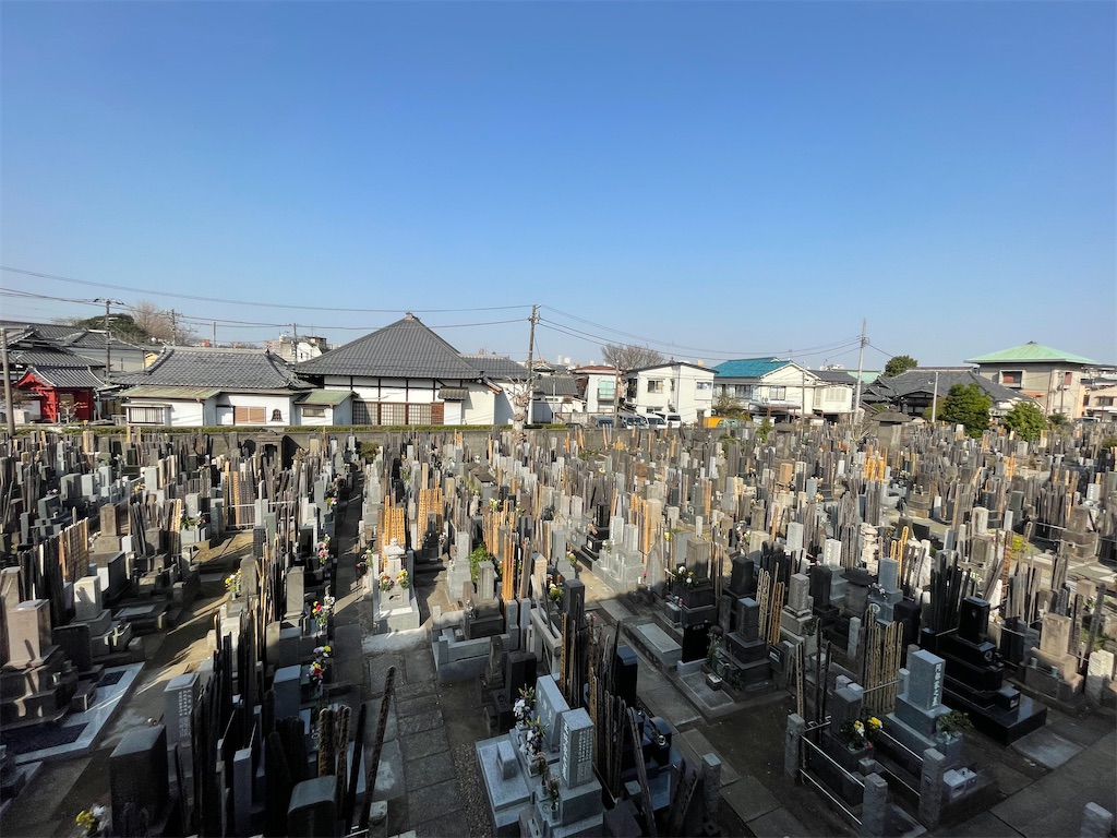 f:id:TokuheiKumagai:20250326093836j:image