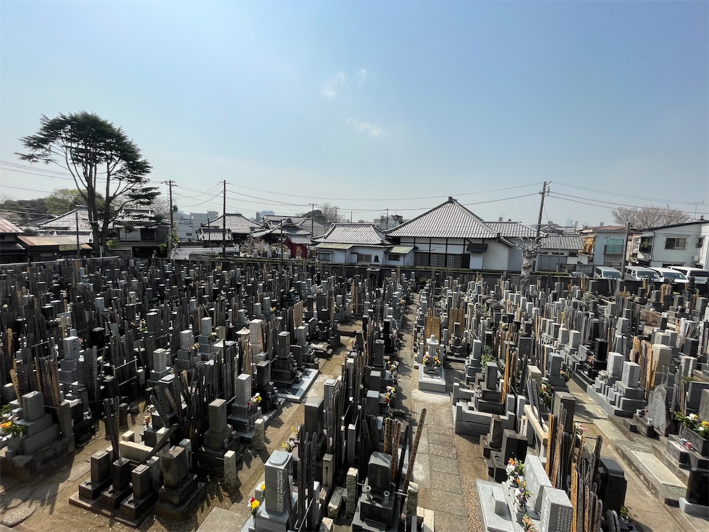 f:id:TokuheiKumagai:20250327134223j:image