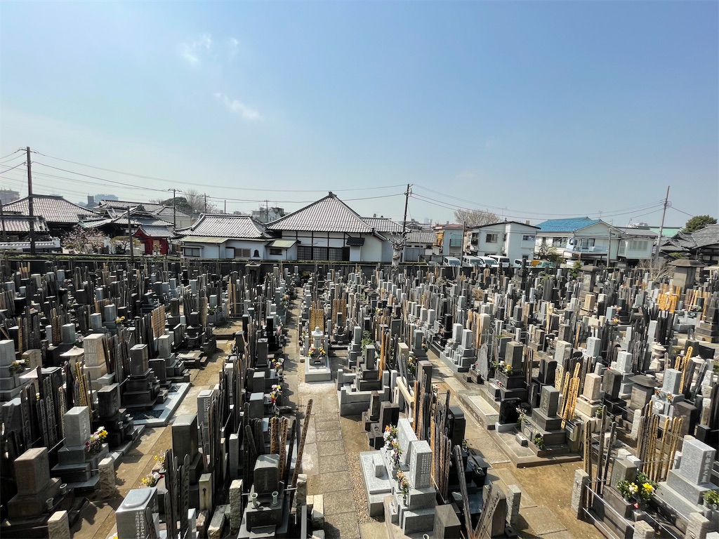 f:id:TokuheiKumagai:20250327134227j:image
