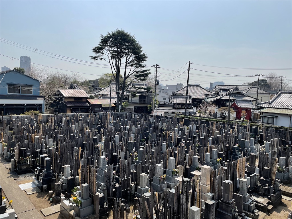 f:id:TokuheiKumagai:20250327134234j:image