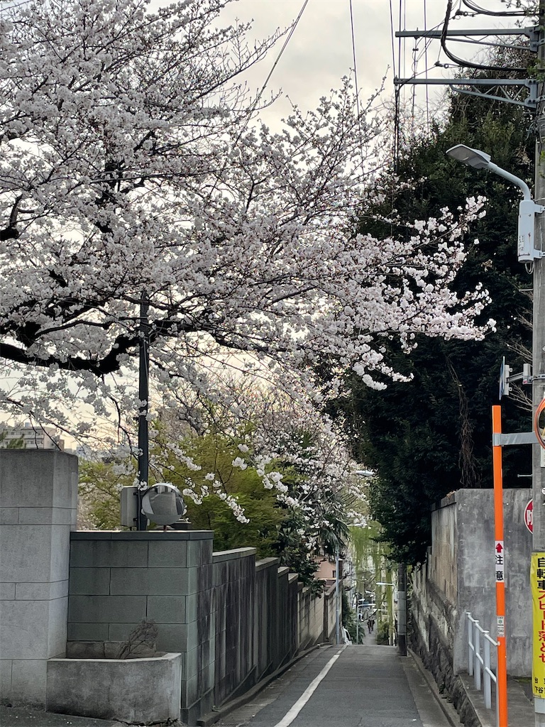 f:id:TokuheiKumagai:20250328191825j:image