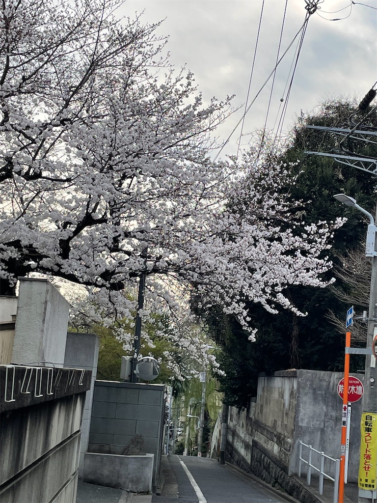 f:id:TokuheiKumagai:20250328191836j:image