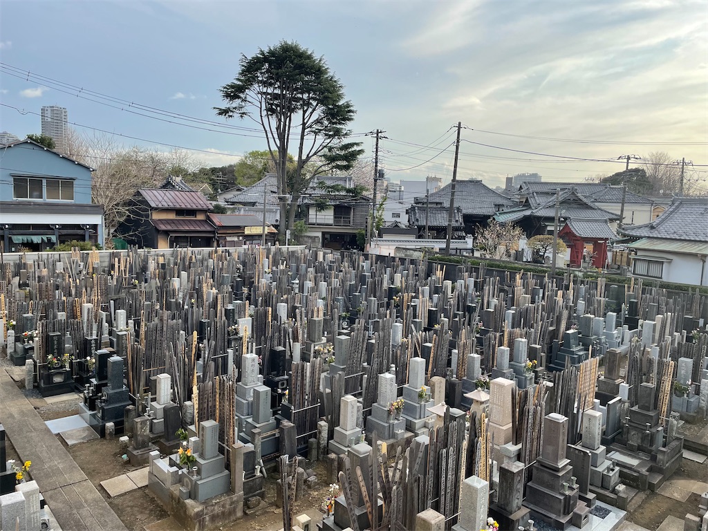 f:id:TokuheiKumagai:20250328191839j:image