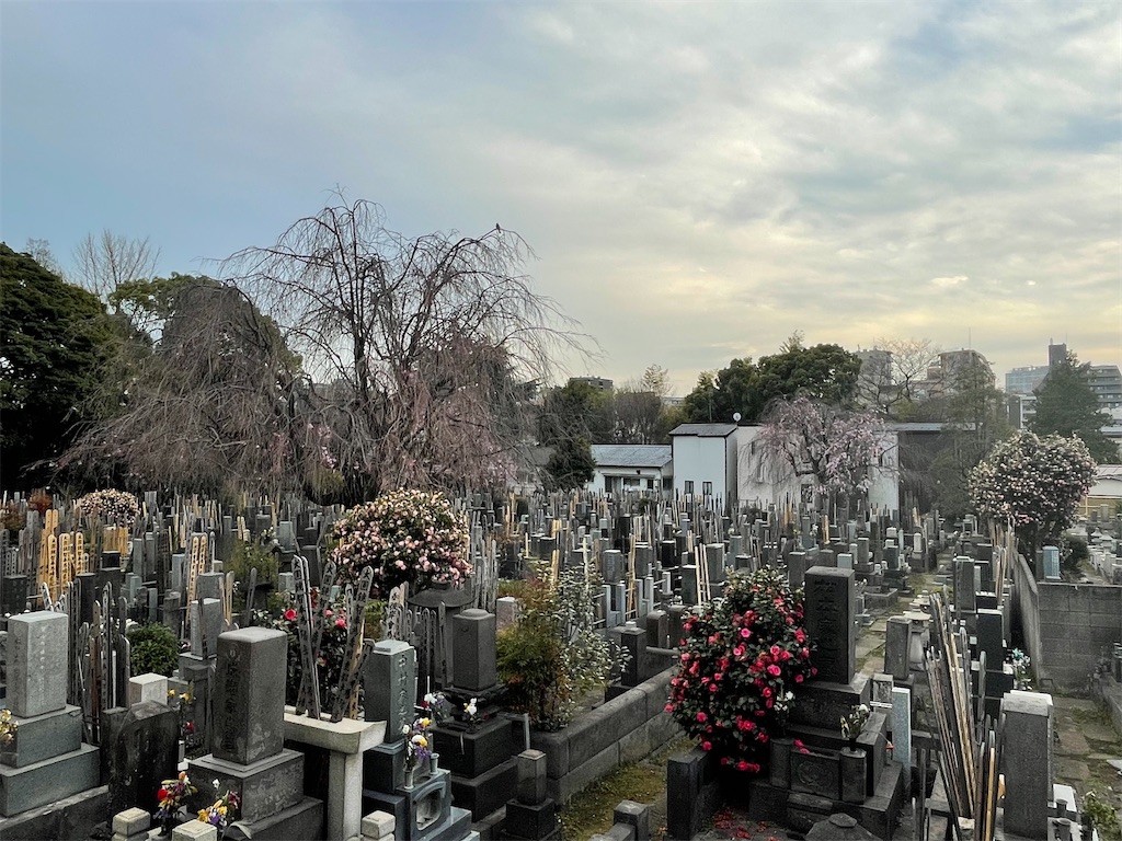 f:id:TokuheiKumagai:20250328191850j:image