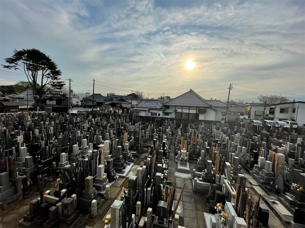 f:id:TokuheiKumagai:20250328191854j:image