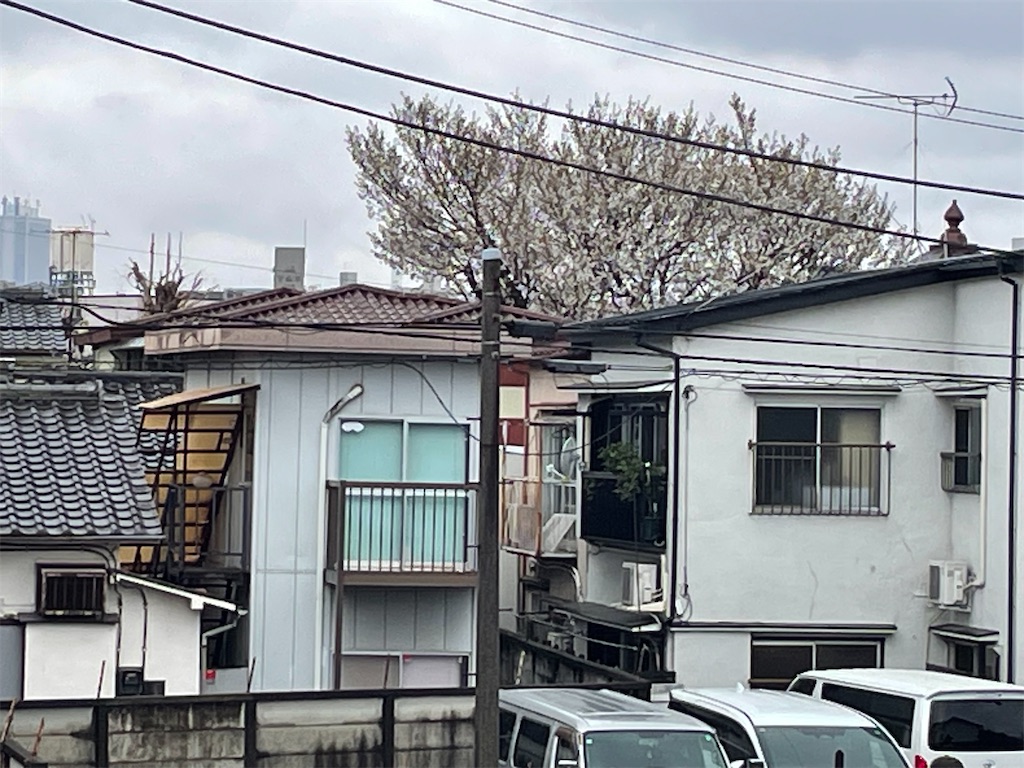 f:id:TokuheiKumagai:20250329162852j:image