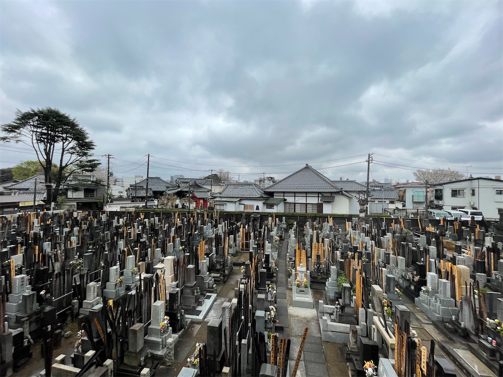 f:id:TokuheiKumagai:20250329162855j:image