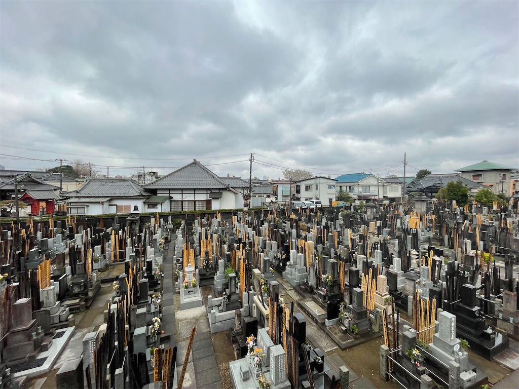 f:id:TokuheiKumagai:20250329162858j:image