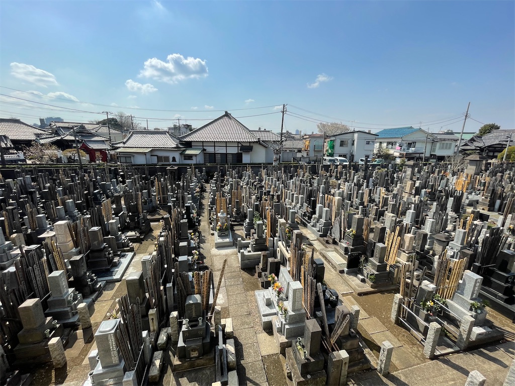 f:id:TokuheiKumagai:20250330155833j:image