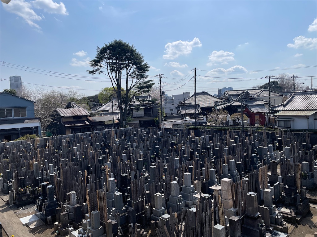 f:id:TokuheiKumagai:20250330155836j:image