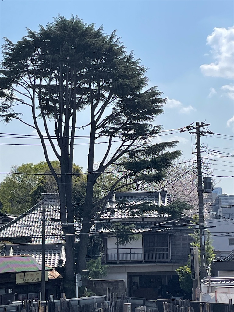 f:id:TokuheiKumagai:20250330155839j:image