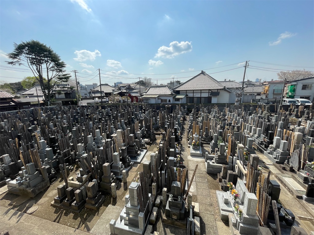 f:id:TokuheiKumagai:20250330155843j:image