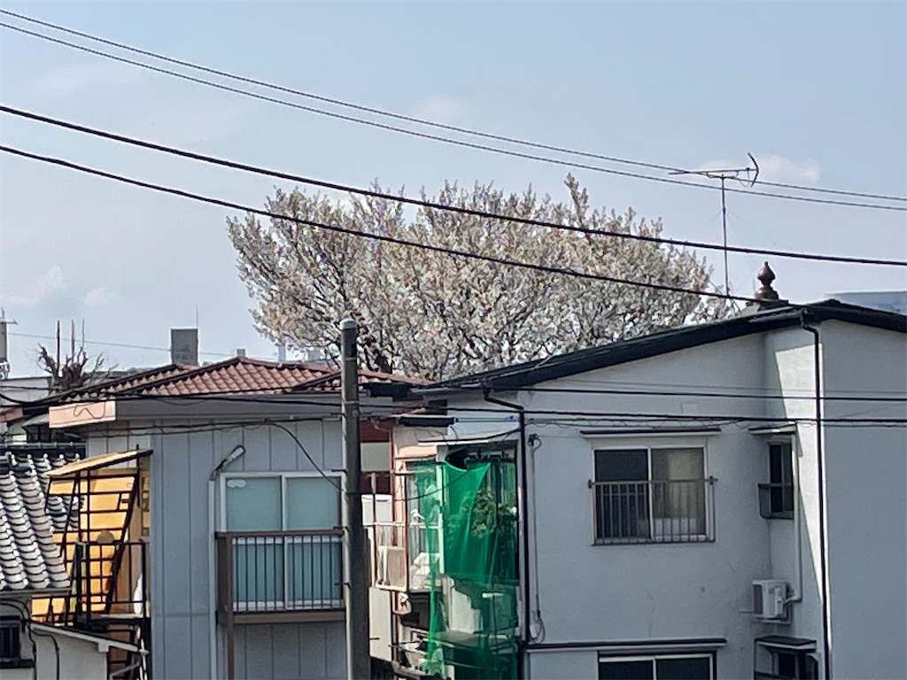 f:id:TokuheiKumagai:20250330155849j:image
