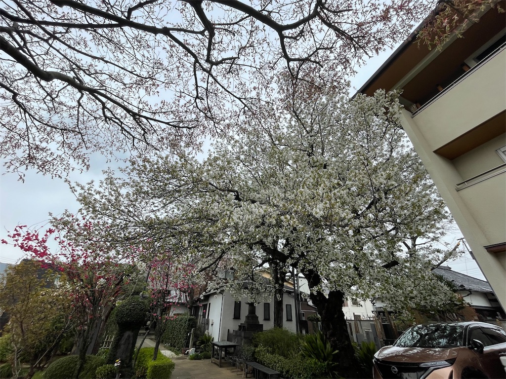 f:id:TokuheiKumagai:20250331155516j:image