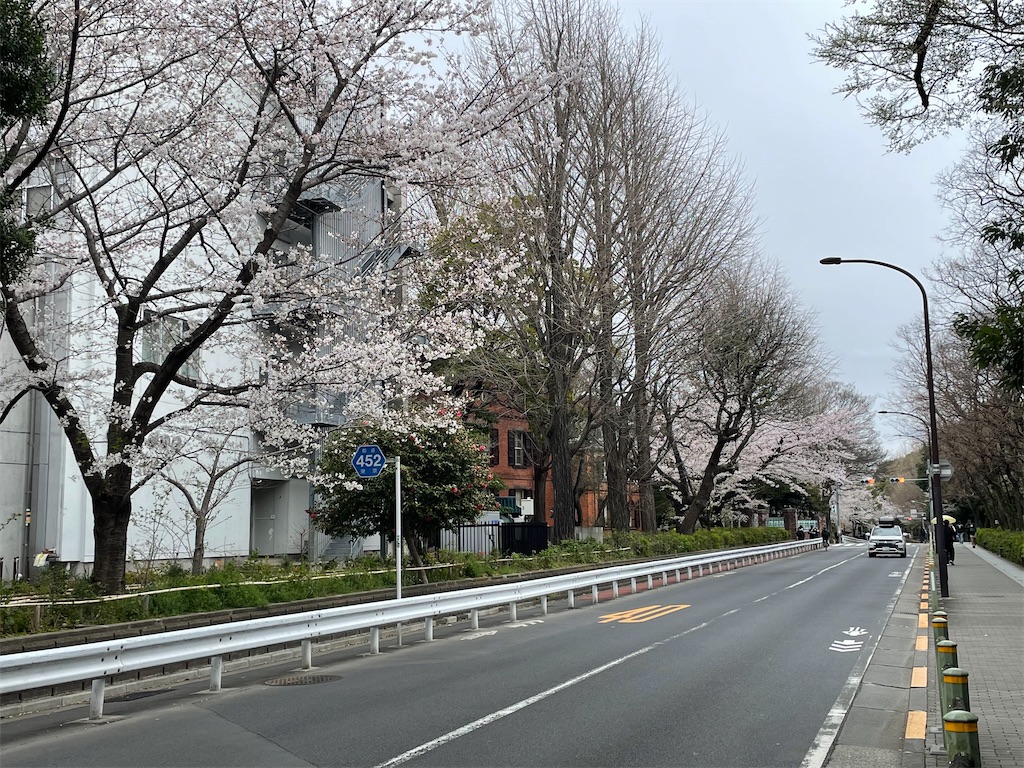 f:id:TokuheiKumagai:20250331155520j:image