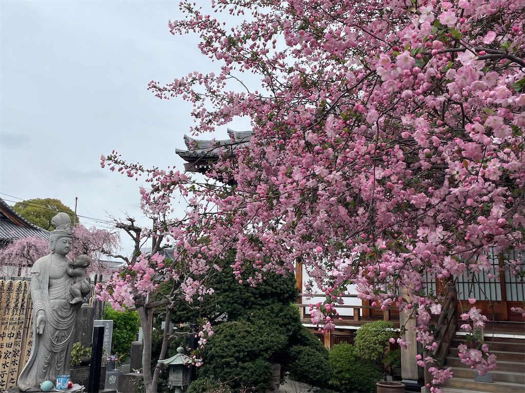 f:id:TokuheiKumagai:20250331155524j:image