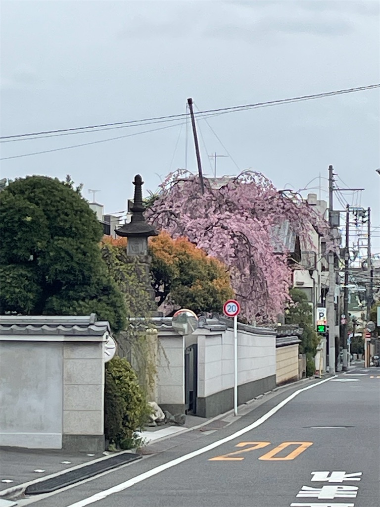 f:id:TokuheiKumagai:20250331160007j:image
