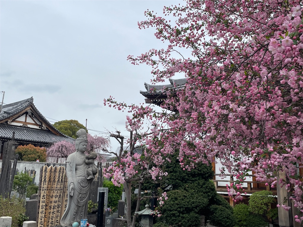 f:id:TokuheiKumagai:20250331160037j:image