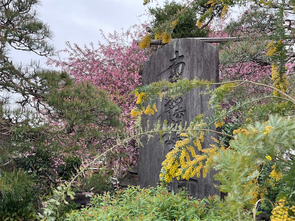f:id:TokuheiKumagai:20250331160041j:image