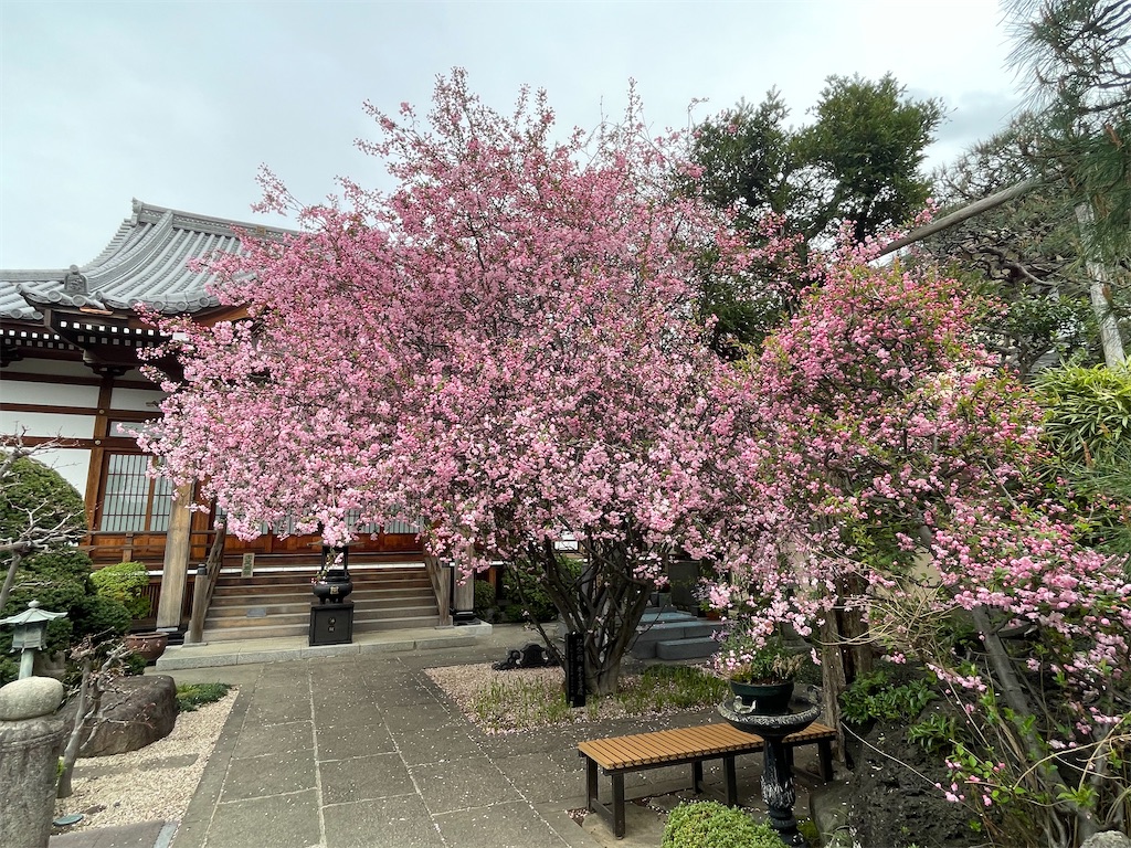 f:id:TokuheiKumagai:20250331160048j:image