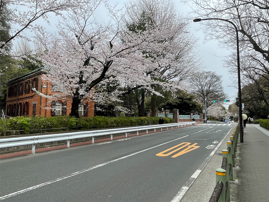 f:id:TokuheiKumagai:20250331160201j:image