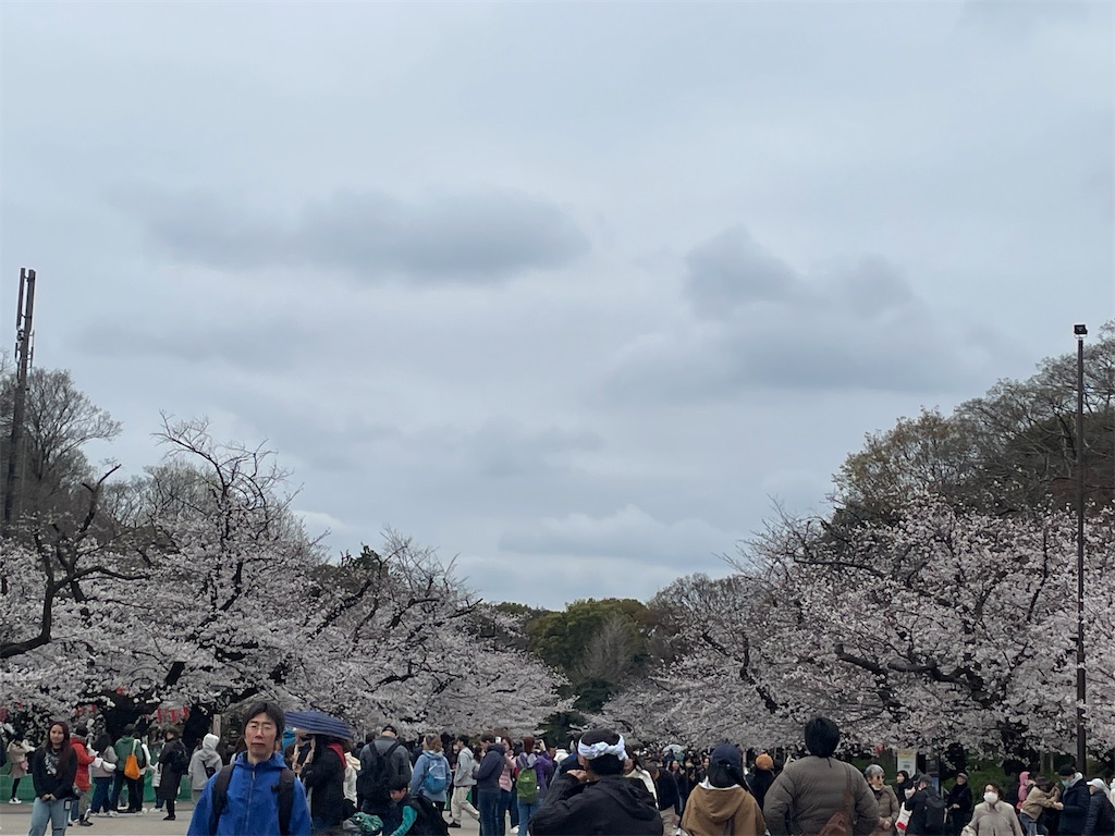 f:id:TokuheiKumagai:20250331160312j:image