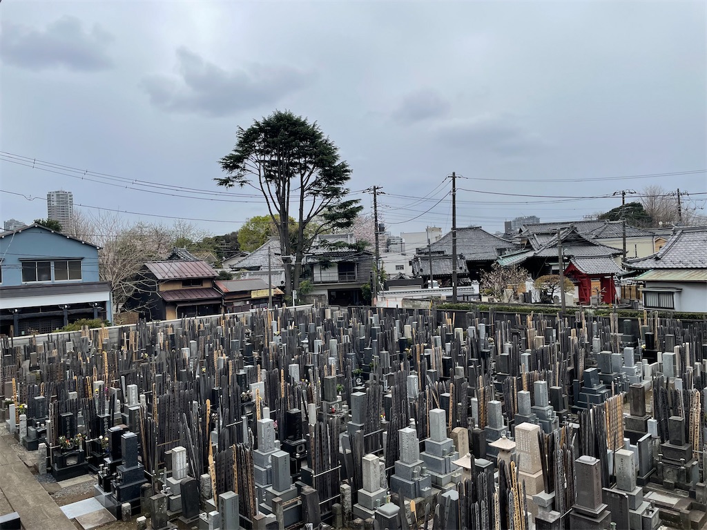f:id:TokuheiKumagai:20250331160349j:image