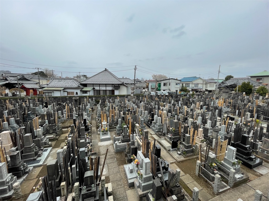 f:id:TokuheiKumagai:20250331160353j:image