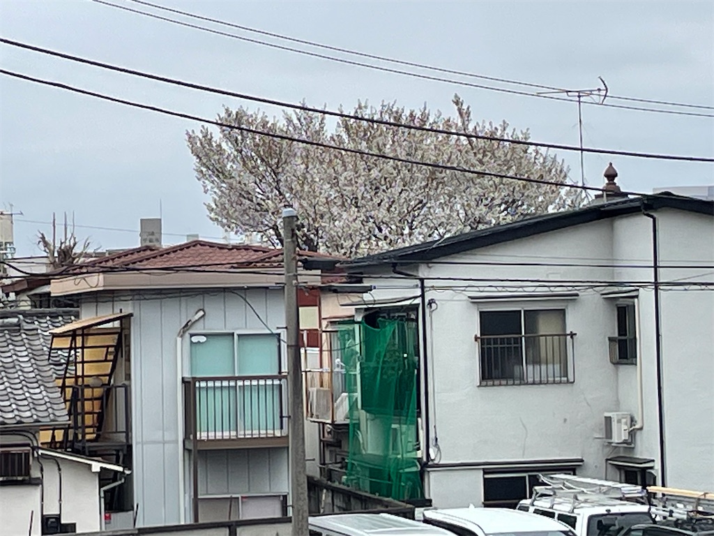 f:id:TokuheiKumagai:20250331160356j:image