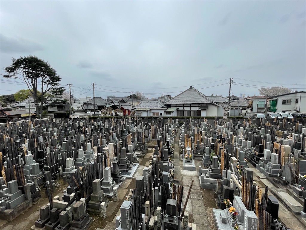 f:id:TokuheiKumagai:20250331160400j:image